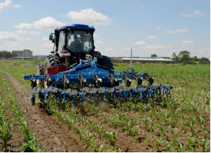 ũҵչľٰũҵֳĦʾ