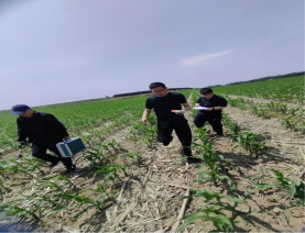 ũҵĿչ߱׼Ը缶ʾݼ⹤