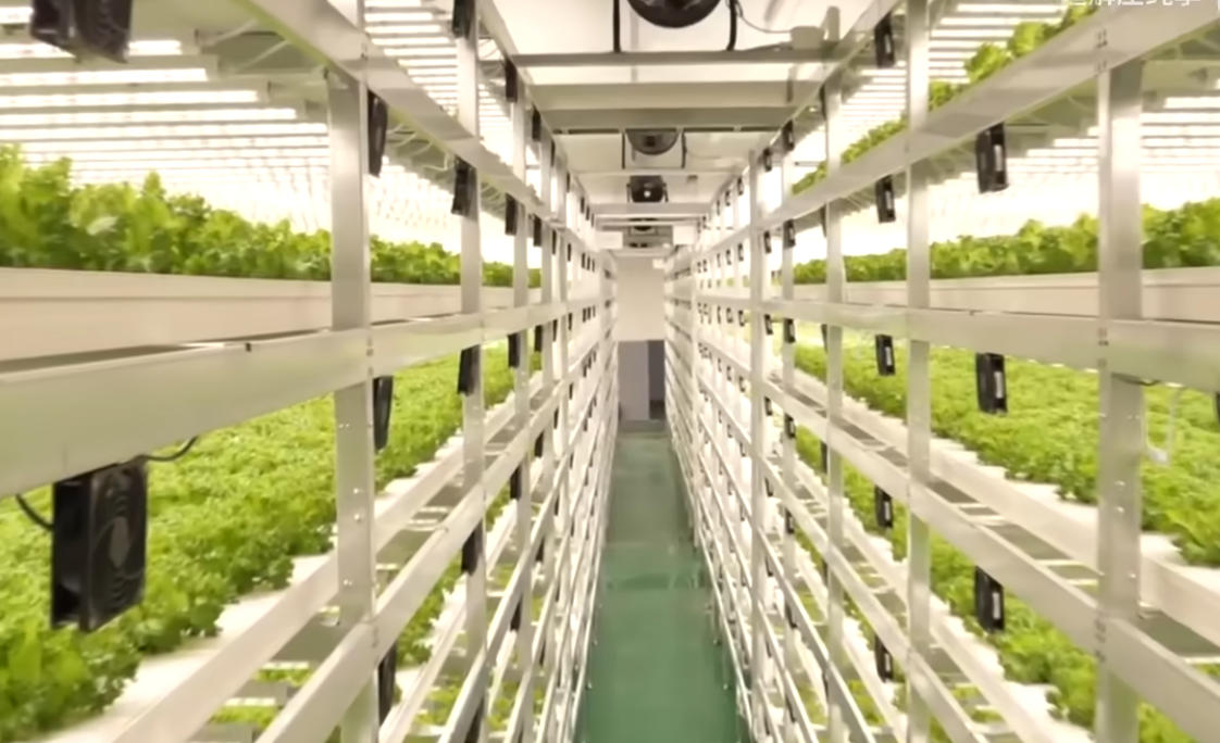 �ǻ�ũҵ������¼Ƭѧ������