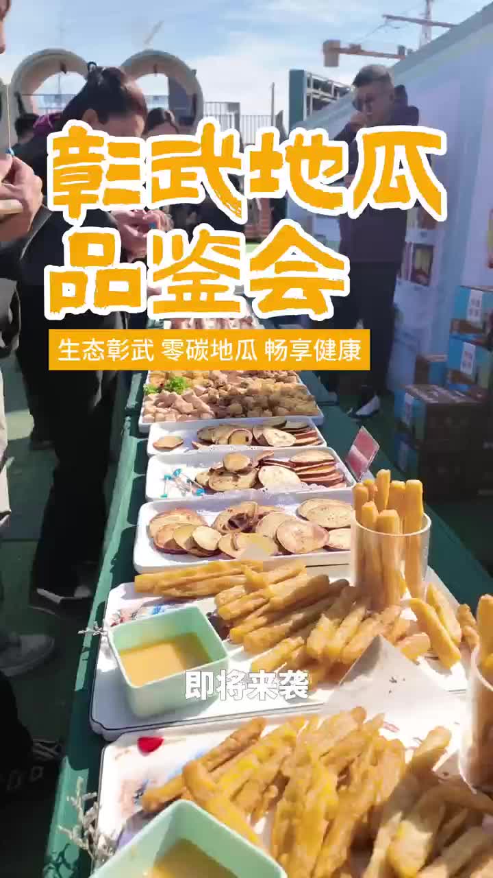 ����ع�Ʒ����