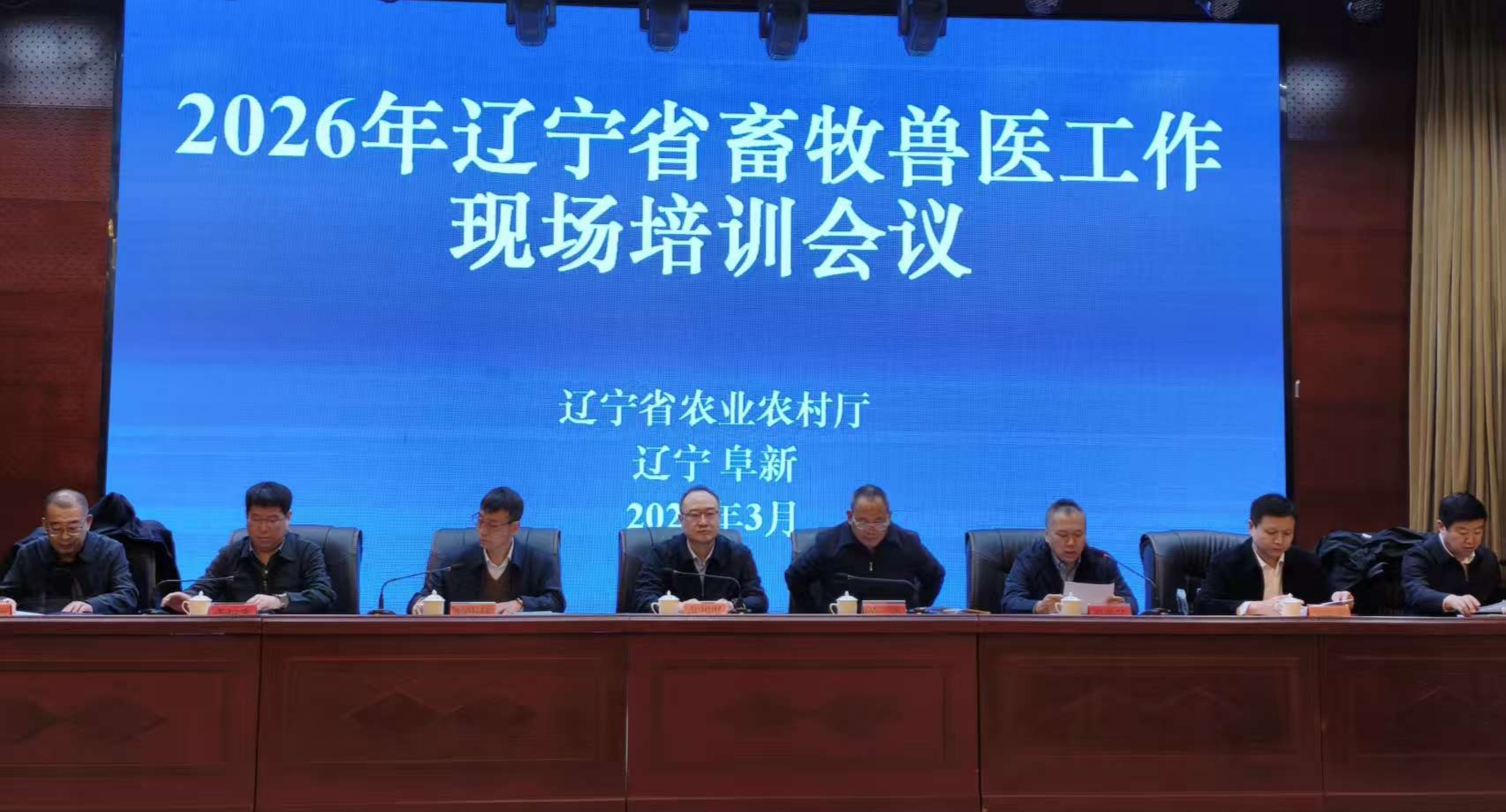 2026��ȫʡ������ҽ���������ڸ������ٿ�