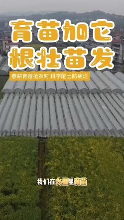 ���������׳�緢