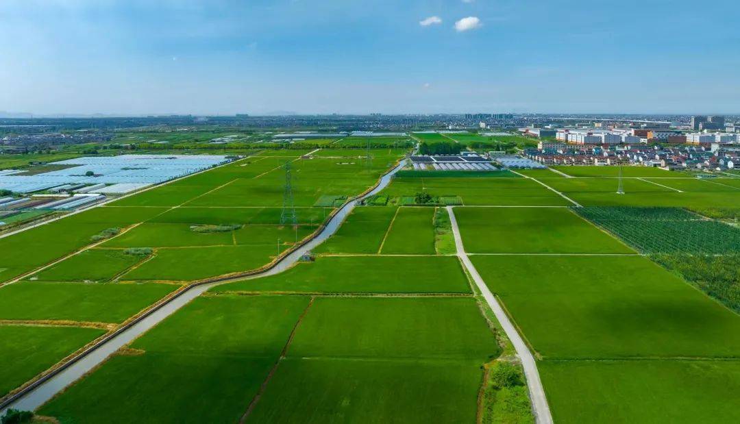 �����ˮ��ũ���������ʡ���ĵ��ʴ�������߱�׼ũ�ｨ��������Ч