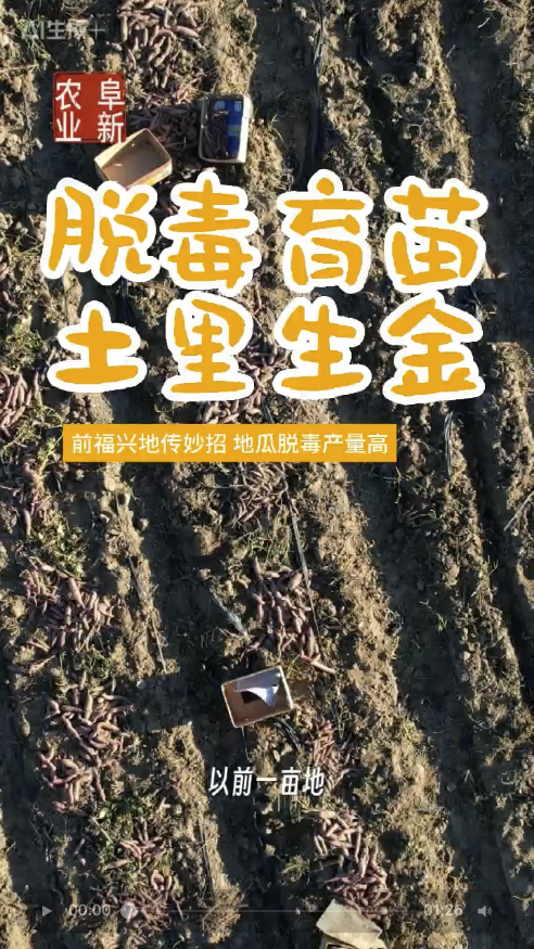 �Ѷ�������������