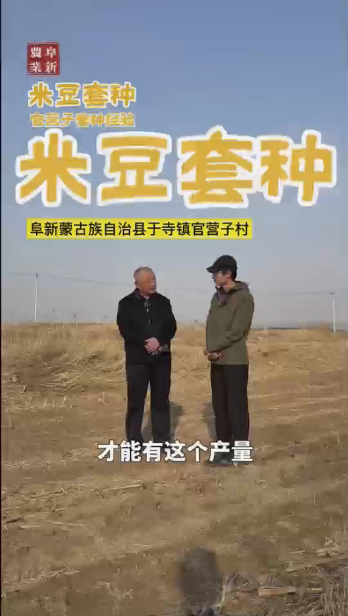 �׶�����