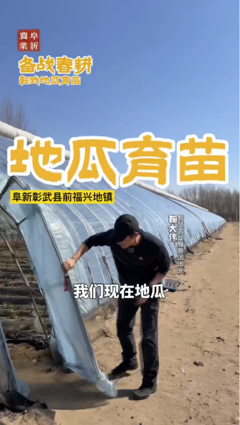 �ع�����